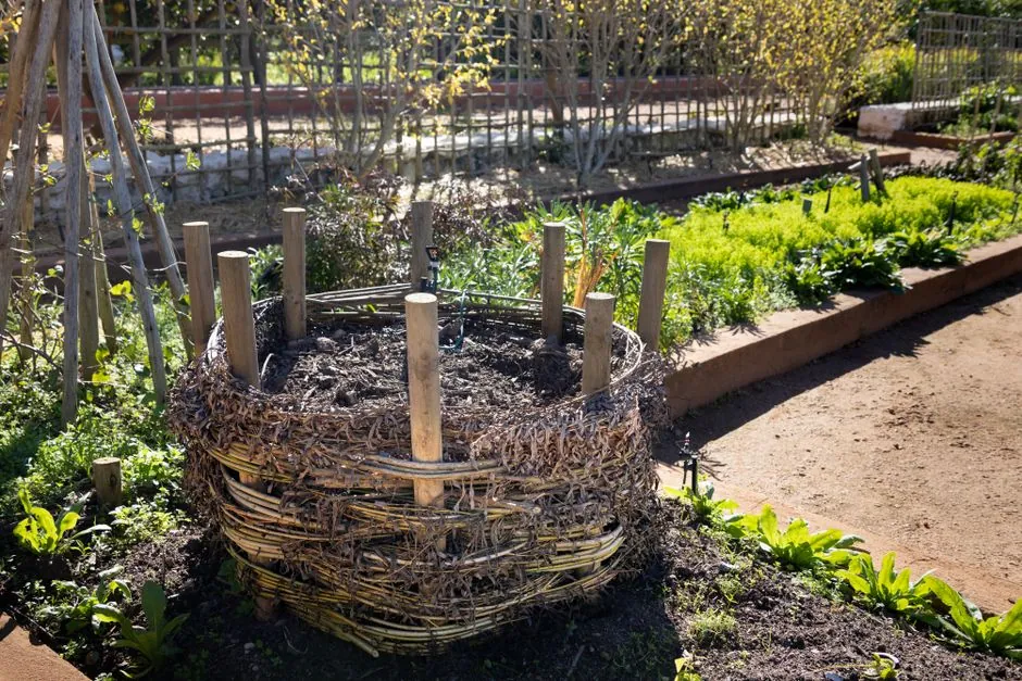 Jardin aménagé par Abbaca Jardins, paysagiste à Besançon